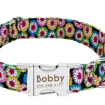 Halsband Hund Personalisiert mit Namen - Image
