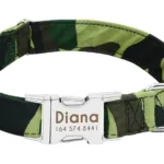 Halsband Hund Personalisiert mit Namen - Image