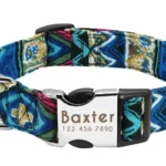 Halsband Hund Personalisiert mit Namen - Image