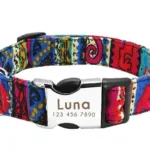 Halsband Hund Personalisiert mit Namen - Image