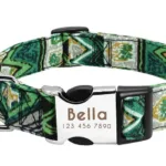 Halsband Hund Personalisiert mit Namen - Image
