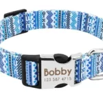 Halsband Hund Personalisiert mit Namen - Image