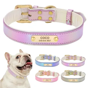 collier fluo chien personnalise