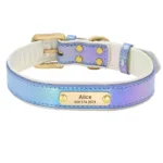 collier fluo chien personnalise bleu