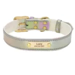 Halsband leuchtendes Hundepersonalisierung - Image