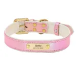 Halsband leuchtendes Hundepersonalisierung - Image