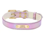 Halsband leuchtendes Hundepersonalisierung - Image