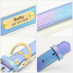Halsband leuchtendes Hundepersonalisierung - Image