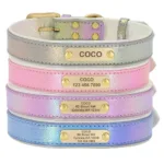 Halsband leuchtendes Hundepersonalisierung - Image