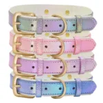 Halsband leuchtendes Hundepersonalisierung - Image