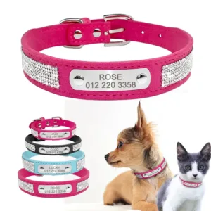 collier avec prenom pour chat