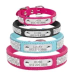 Halsband mit Namen für Katze - Image