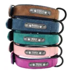 Halsband und Leine für individuellen Hund - Image