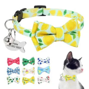 collier chat medaille gravee collier pour chat