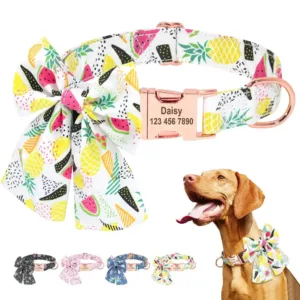 Collier avec Prénom Chien