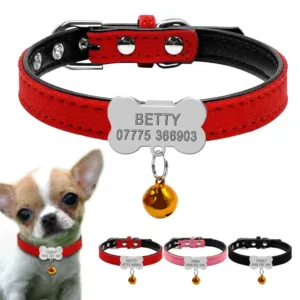 collier petit chien personnalise