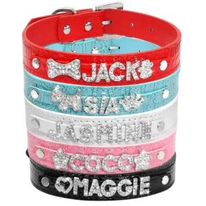 collier chat strass personnalisable