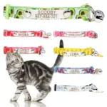collier chaton personnalise collier pour chat