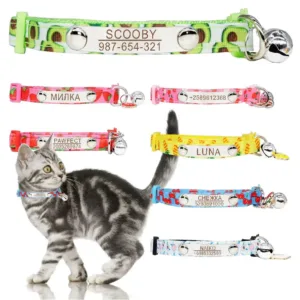 collier chaton personnalise collier pour chat