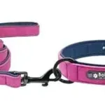Hund Halsband Leine Individuell - Photo 4