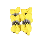 Hund Socken - Photo 5