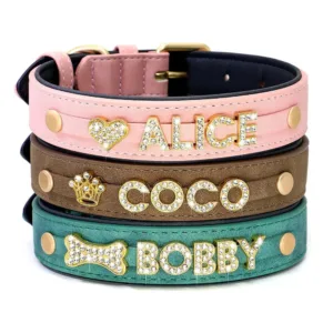 collier chien strass