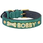 collier chien strass vert