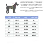 Hundegeschirr mit Namen - Photo 8