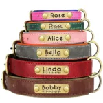 collier chien avec plaque gravee
