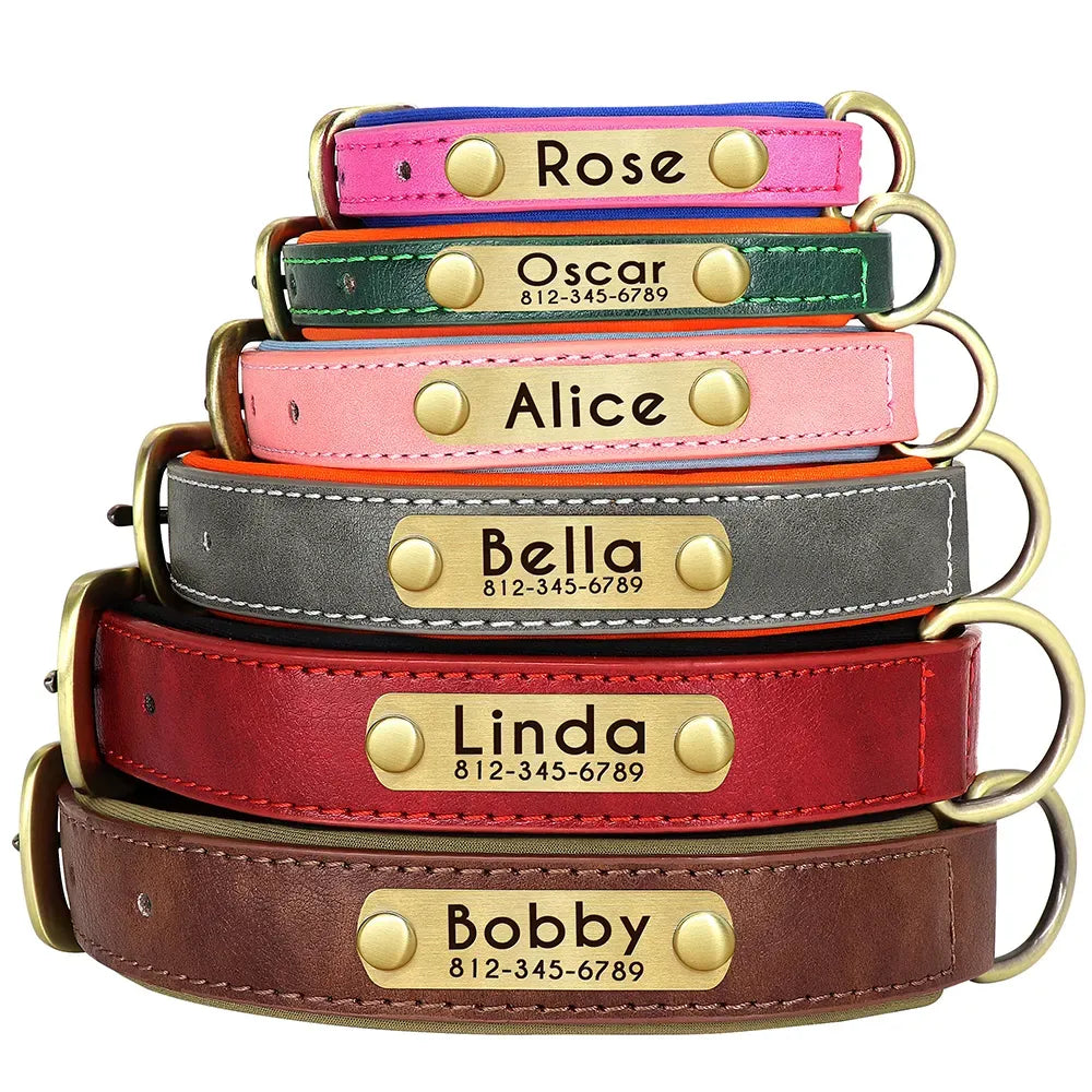 collier chien avec plaque gravee
