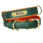 collier chien avec plaque gravee vert