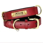 Hundehalsband mit Graviertem Anhänger - Image