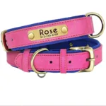 Hundehalsband mit Graviertem Anhänger - Image