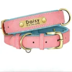 Hundehalsband mit Graviertem Anhänger - Image