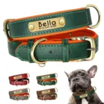 Hundehalsband mit Graviertem Anhänger - Image