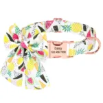 Hundehalsband mit Name - Photo 4