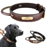 Hundehalsband Namen Leder - Photo 1