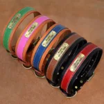 Hundehalsband Personalisiert Leder - Photo 1