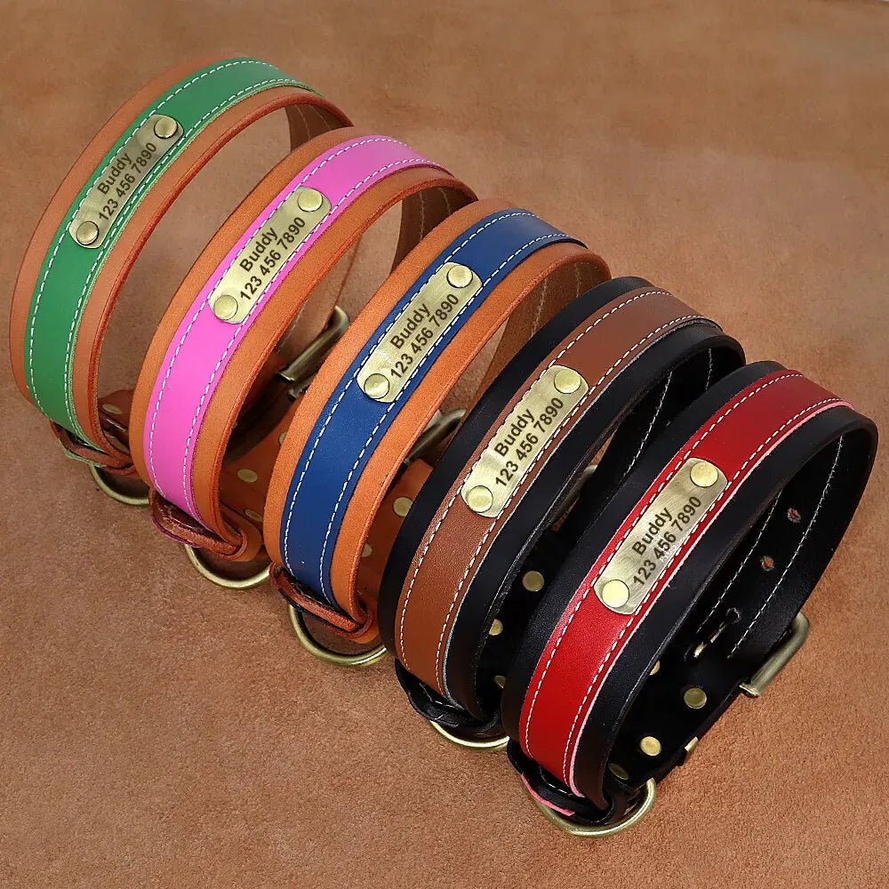Hundehalsband Personalisiert Leder - Photo 1