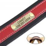 Hundehalsband Personalisiert Leder - Photo 5