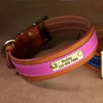 Hundehalsband Personalisiert Leder - Photo 6