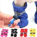 chaussette pour chien