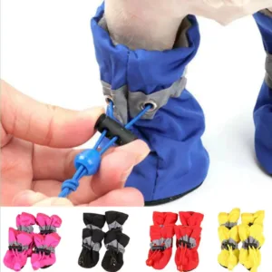 chaussette pour chien