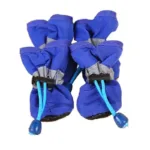 Hundesocken - Image