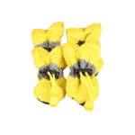 Hundesocken - Image