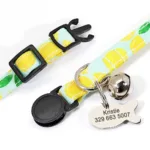 Katzenhalsband Name - Photo 12