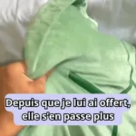 Kissen Schildkröte - Image