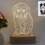 Lampe aus Foto - Photo 3