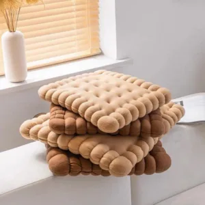 coussins originaux lu