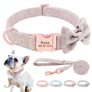 collier personnalisable chien avec laisse collier pour chien